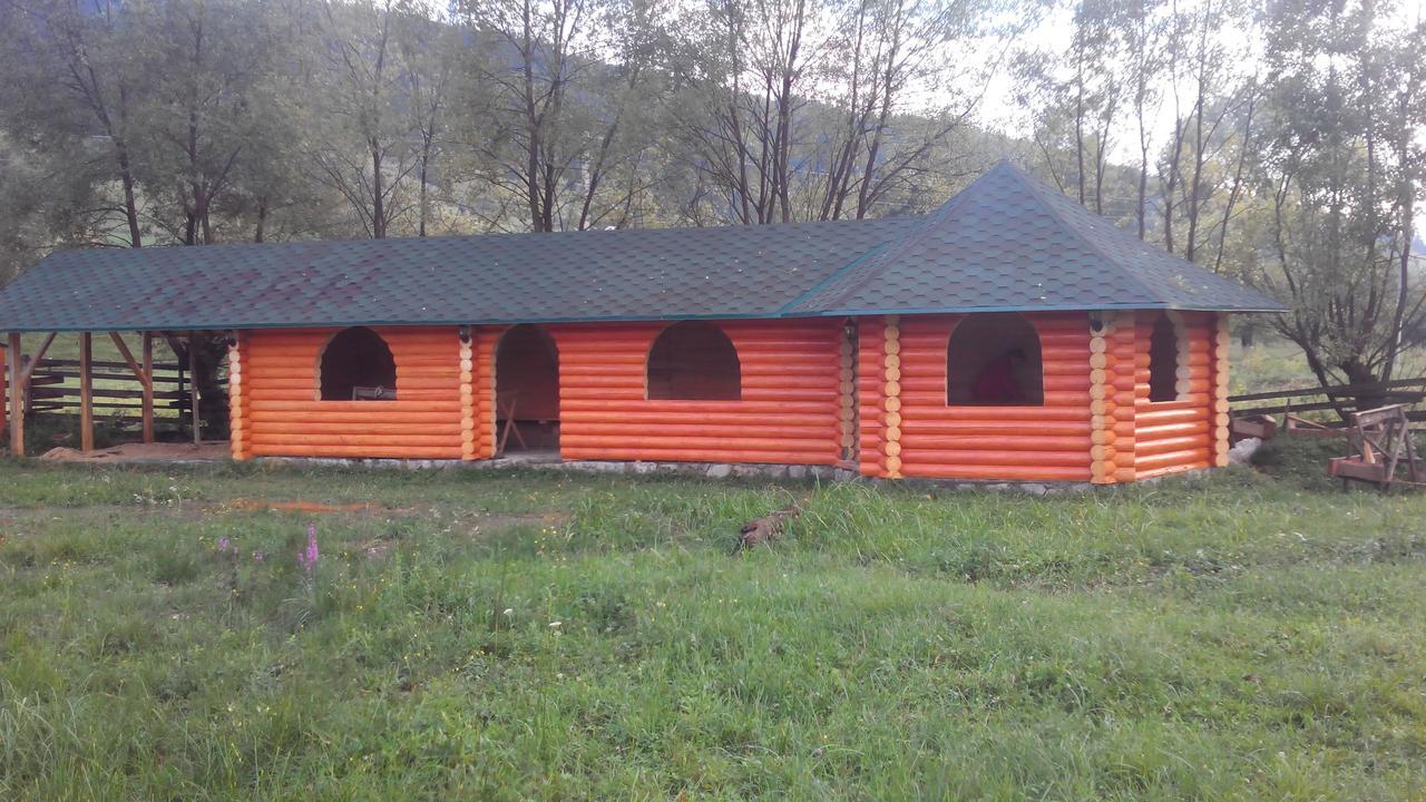 Плай Villa Verkhovyna Luaran gambar